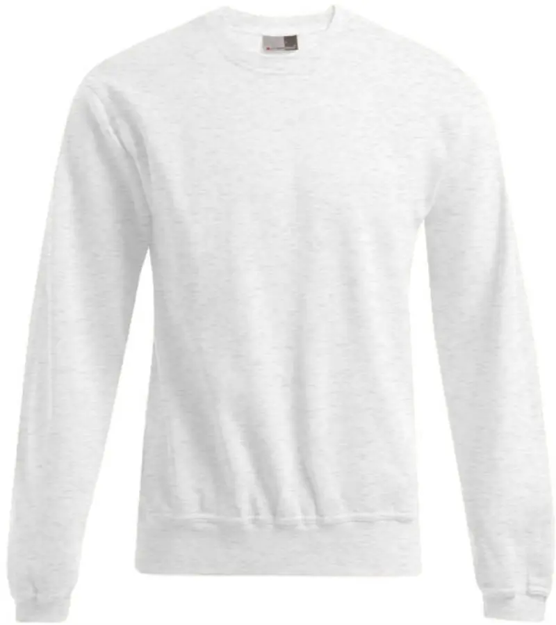 Herren Sweater - Promodoro 2199