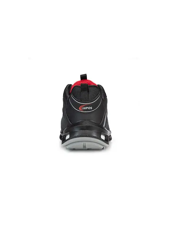 Lupos Entics S3 CI SRC ESD