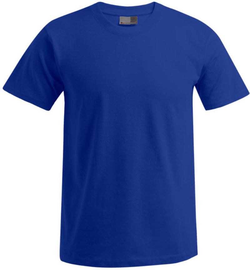 Herren T-Shirt - Promodoro Premium 3099
