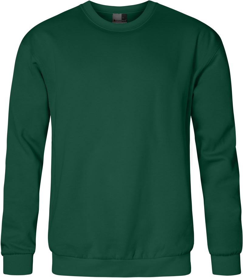 Herren Sweater - Promodoro 5099