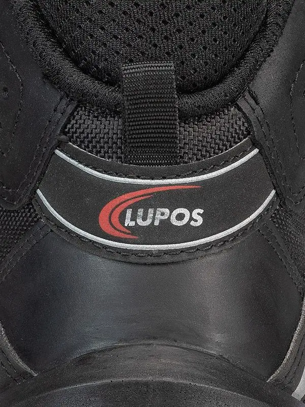 Lupos Nach S3 CI SRC ESD