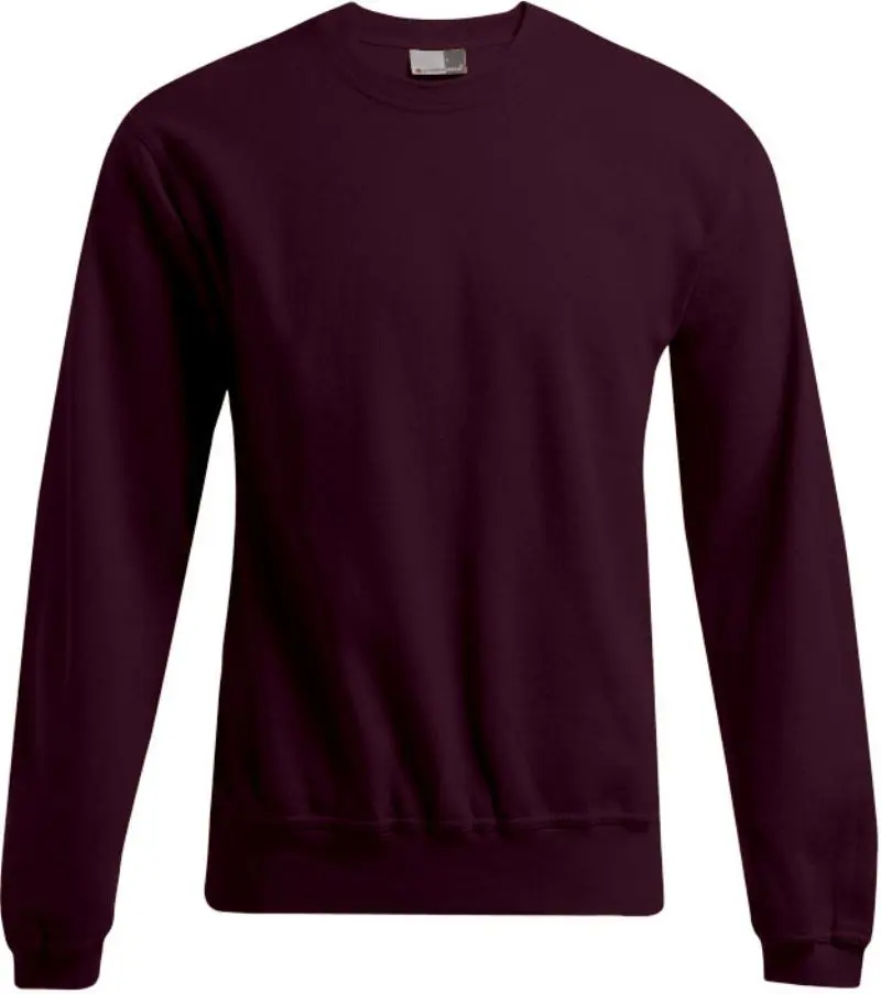 Herren Sweater - Promodoro 2199