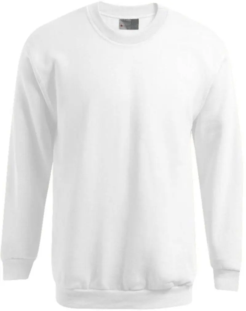 Herren Sweater - Promodoro 5099
